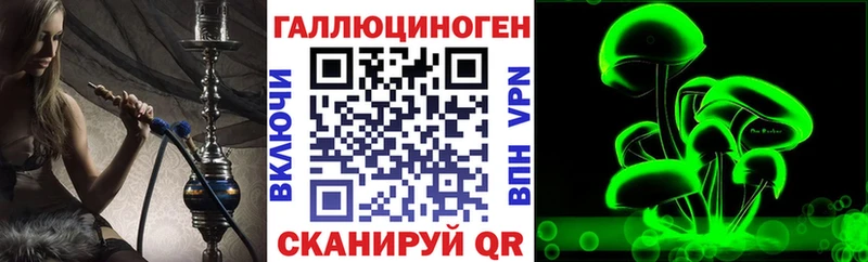 где продают   Пойковский  Галлюциногенные грибы Psilocybine cubensis 